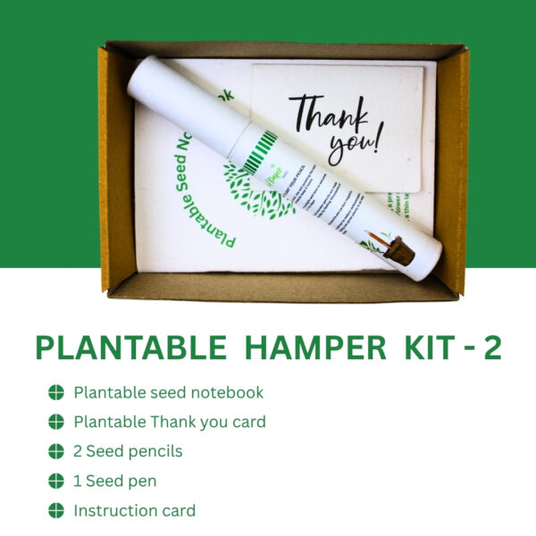 PLANTABLE HAMPER PACK