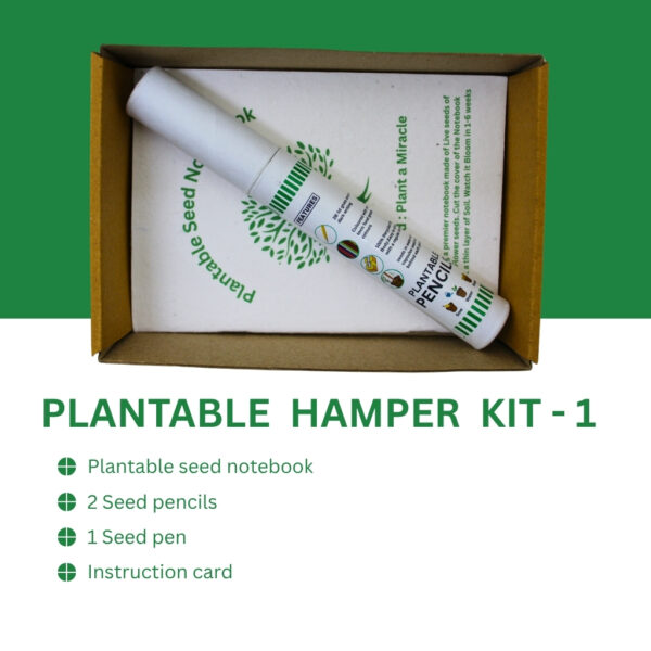 Eco-Friendly Hamper Pack | Sustainable Corporate & Gift Hamper UAE