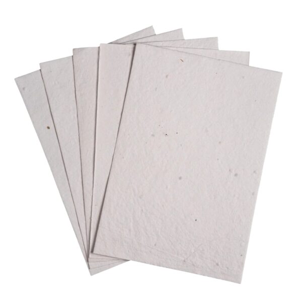 Basil Seed Paper – 250 GSM | Premium Handmade Biodegradable Paper | Seed Paper UAE