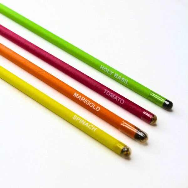 seed pencil