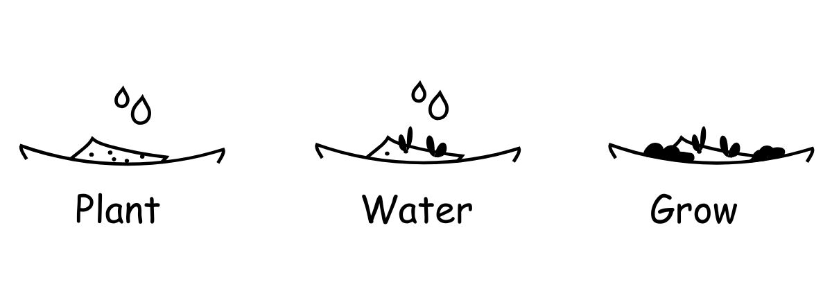 How to Plant Seed Paper