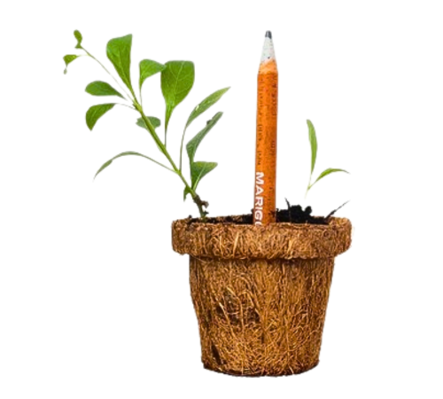 Plantable Seed Pencil